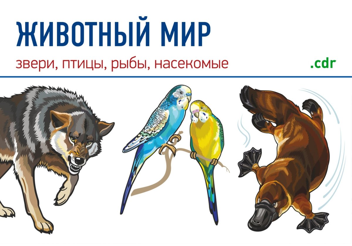 Мамы и Детеныши