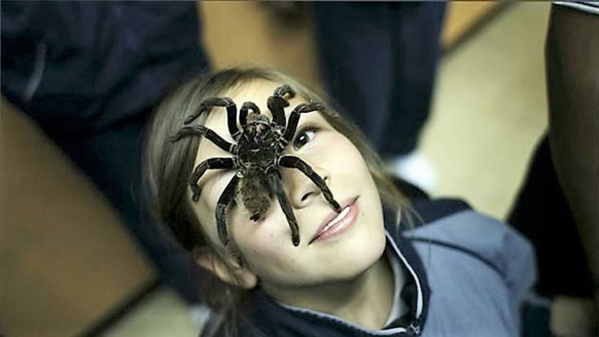 Ленга Лавкрафт