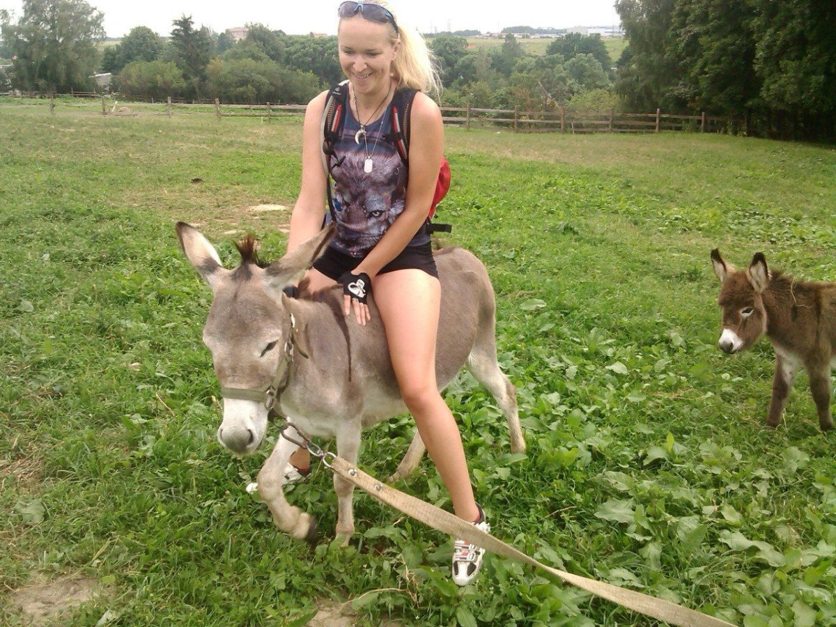 Девушки верхом на осликах катаются