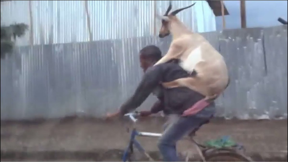 Парень с козой