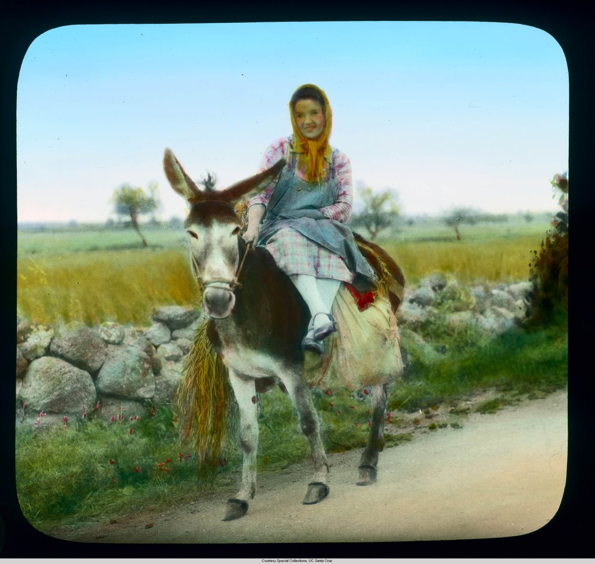 Женщина на ослике