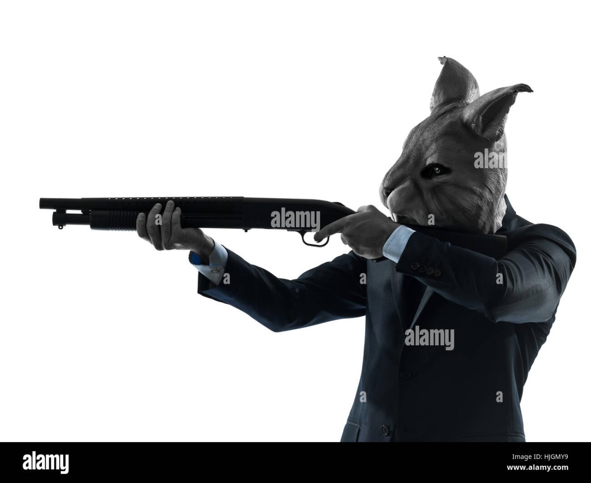 Кролик с дробовиком