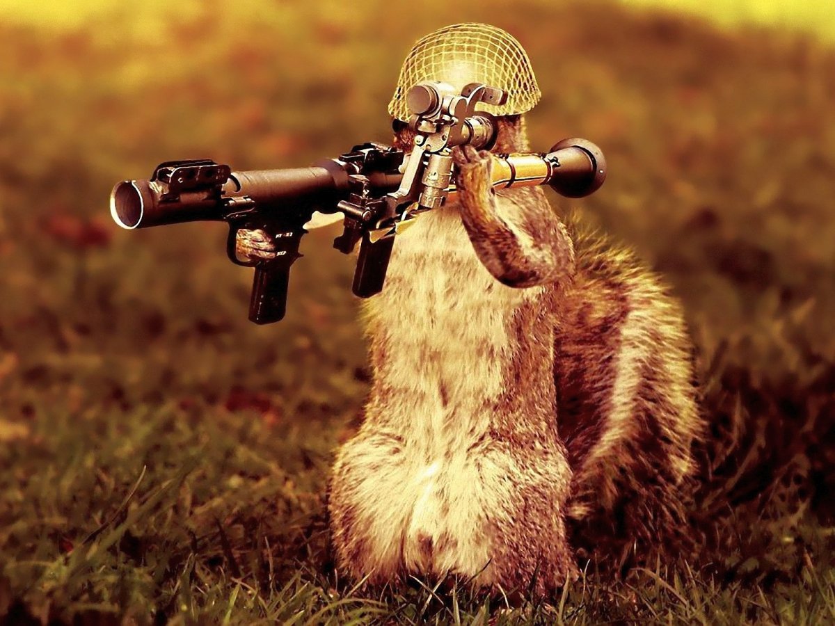 Животное с оружием