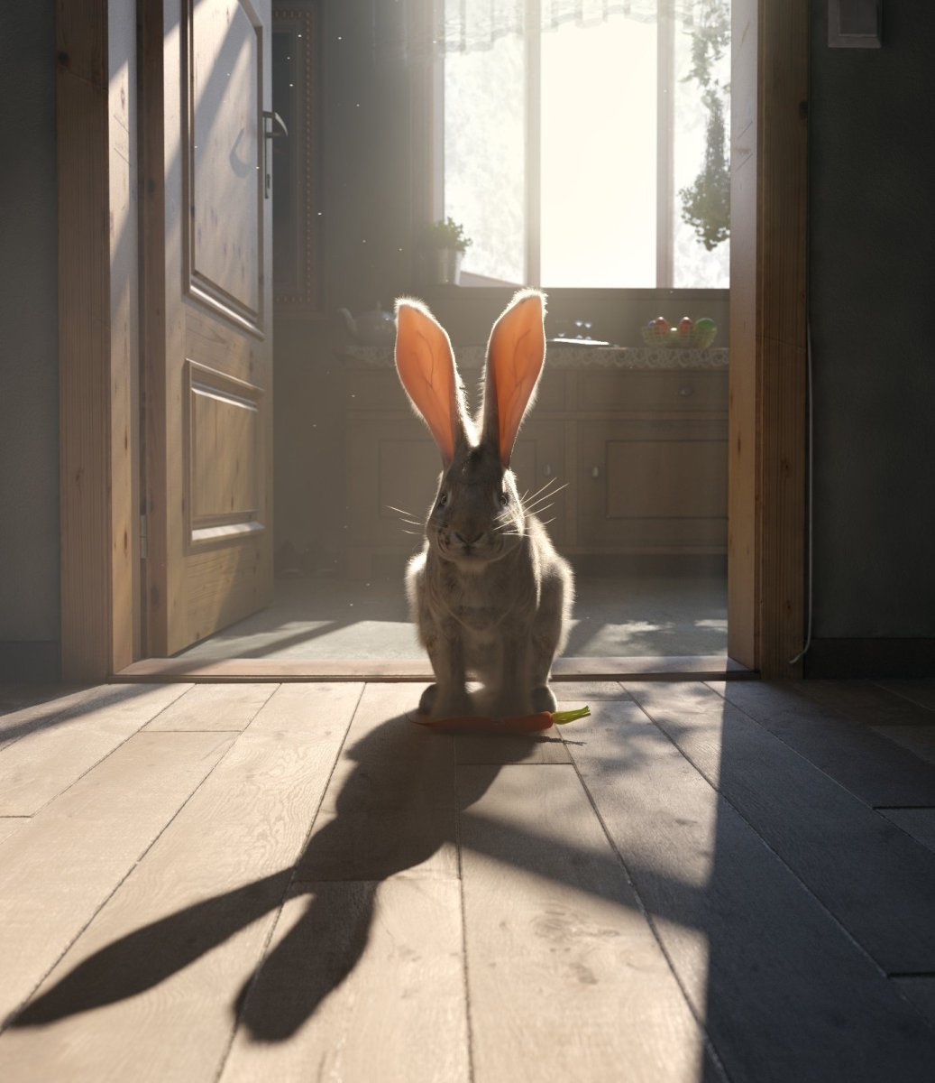 Лапы кролика