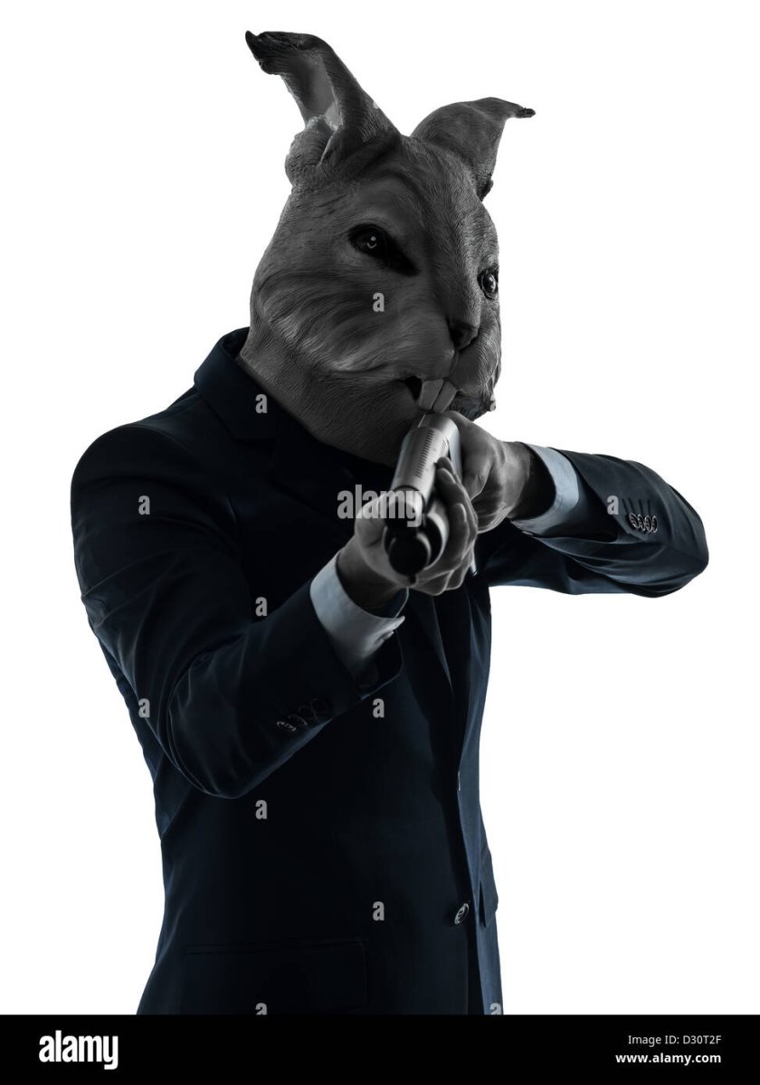 Человек в маске кота