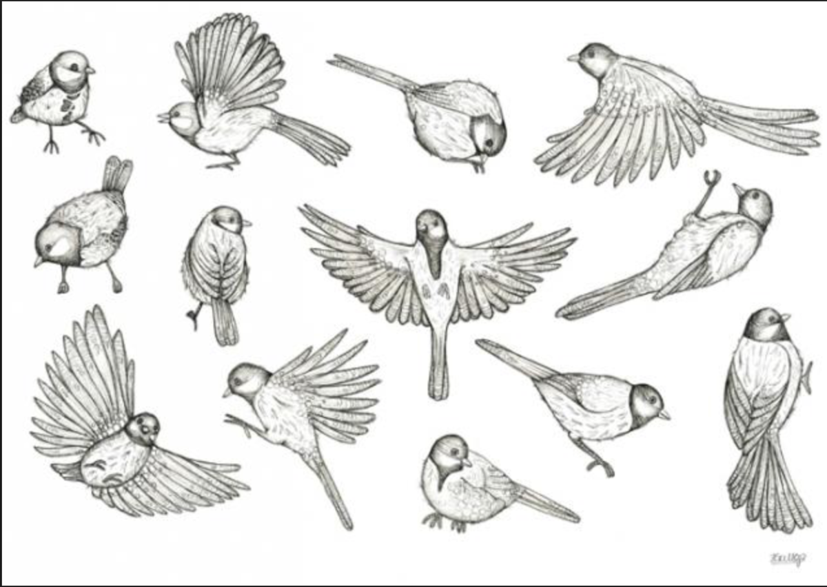 Птицы в разных позах