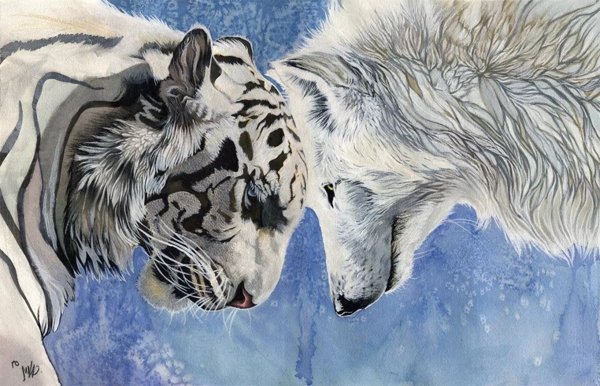 Волк и тигр