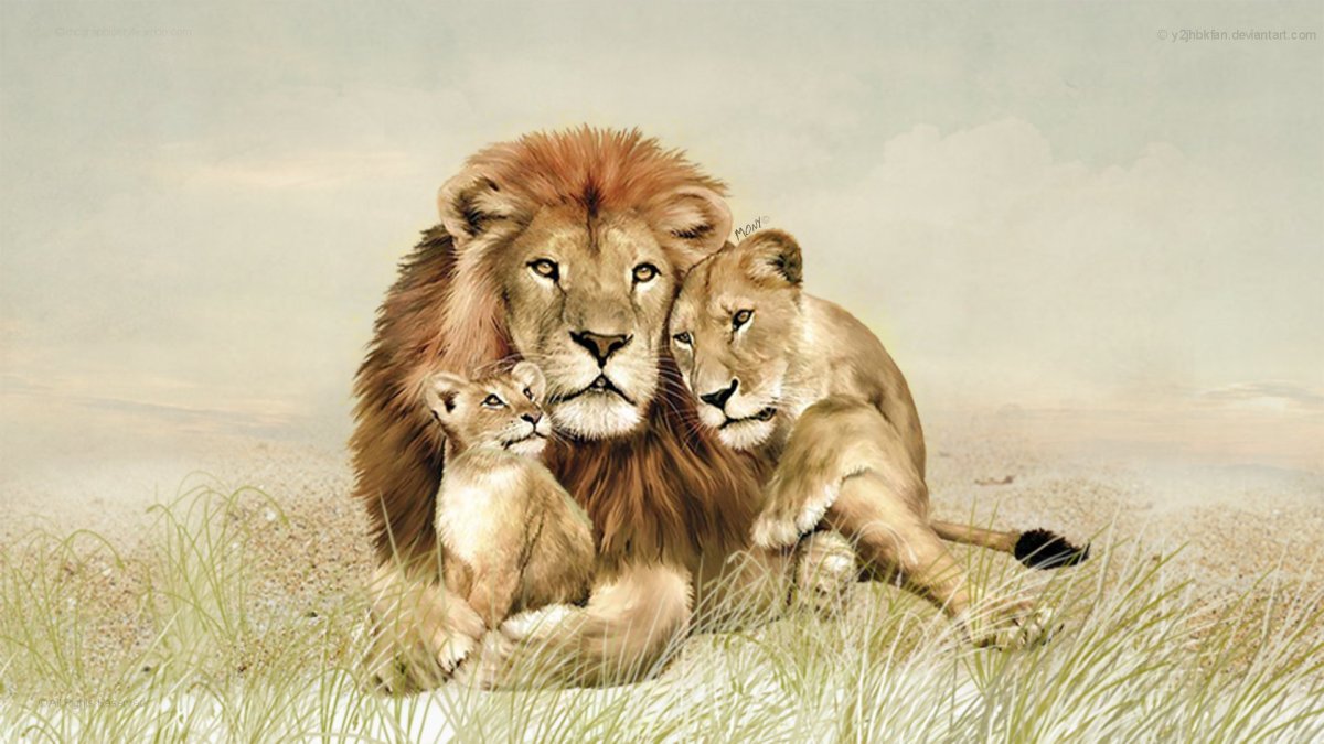 Львиная семья