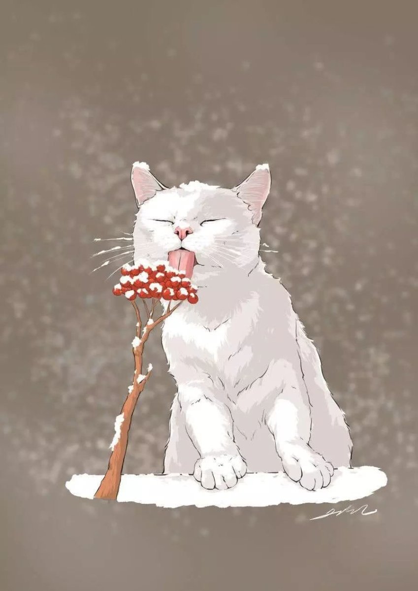 Зимний котик арт