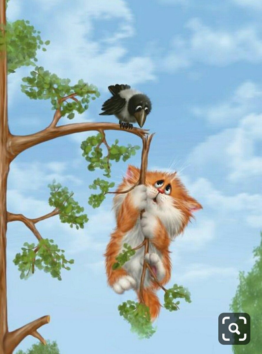 Котик висит на дереве