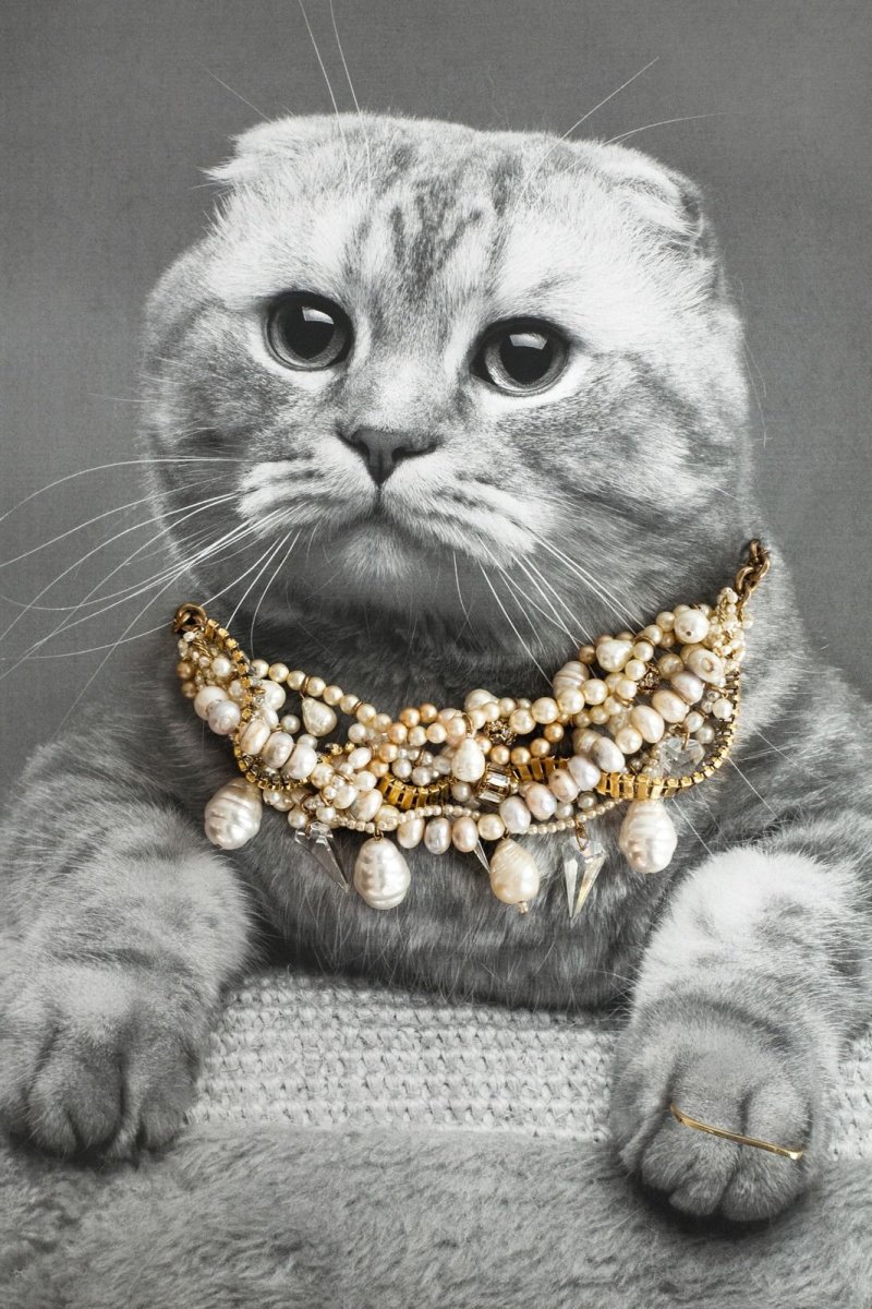 Украшения для кошек
