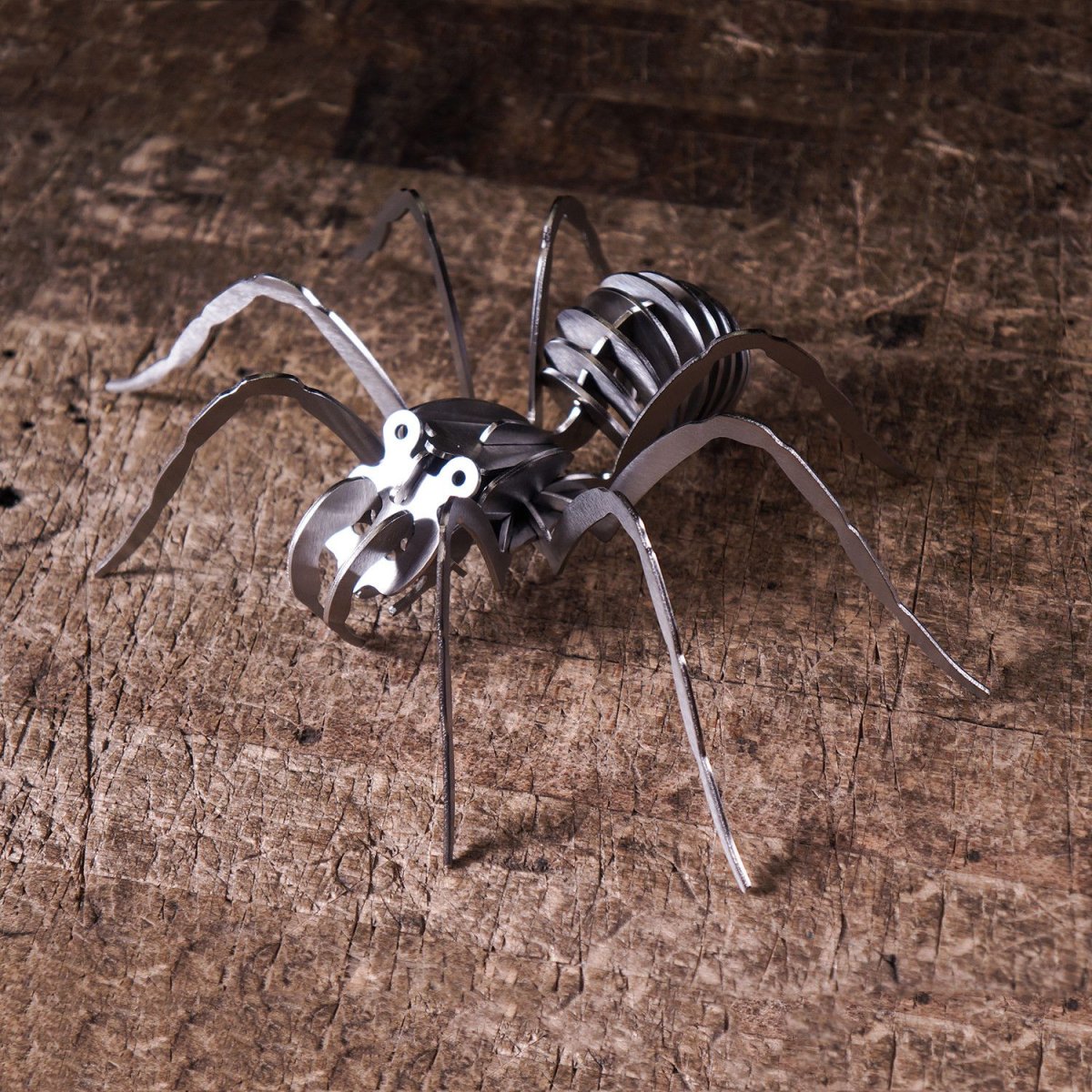 Паук крестовик Дальневосточный