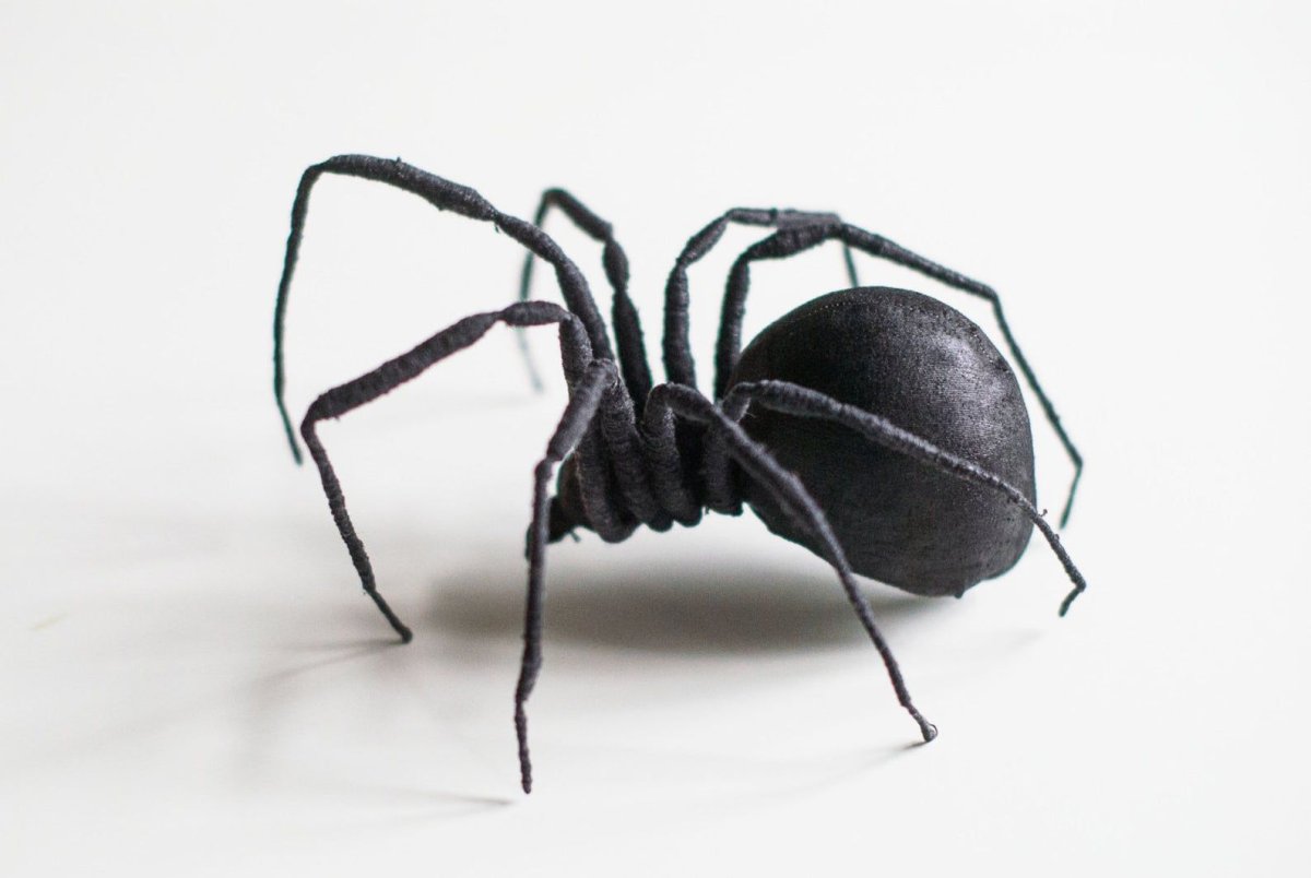 Паук Аргиопа Брюнниха Крымская