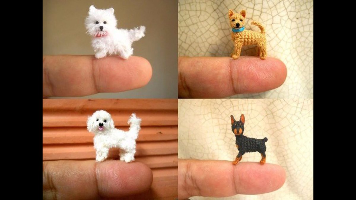 Йоркширский терьер мини