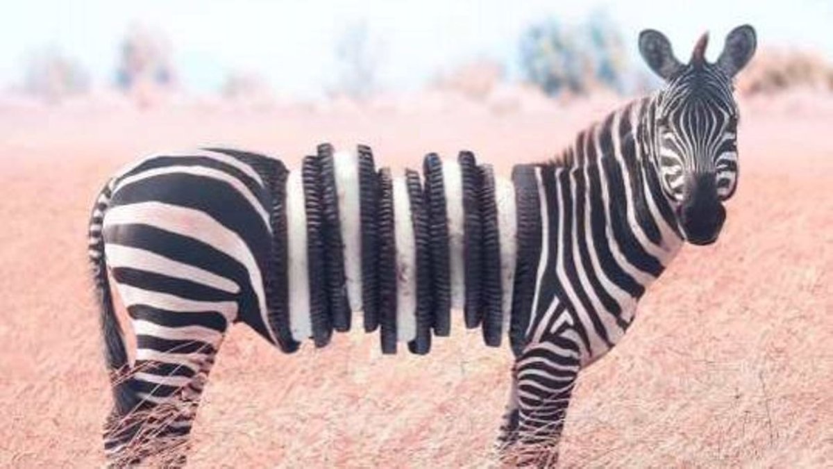 Животные скрещенные с предметами