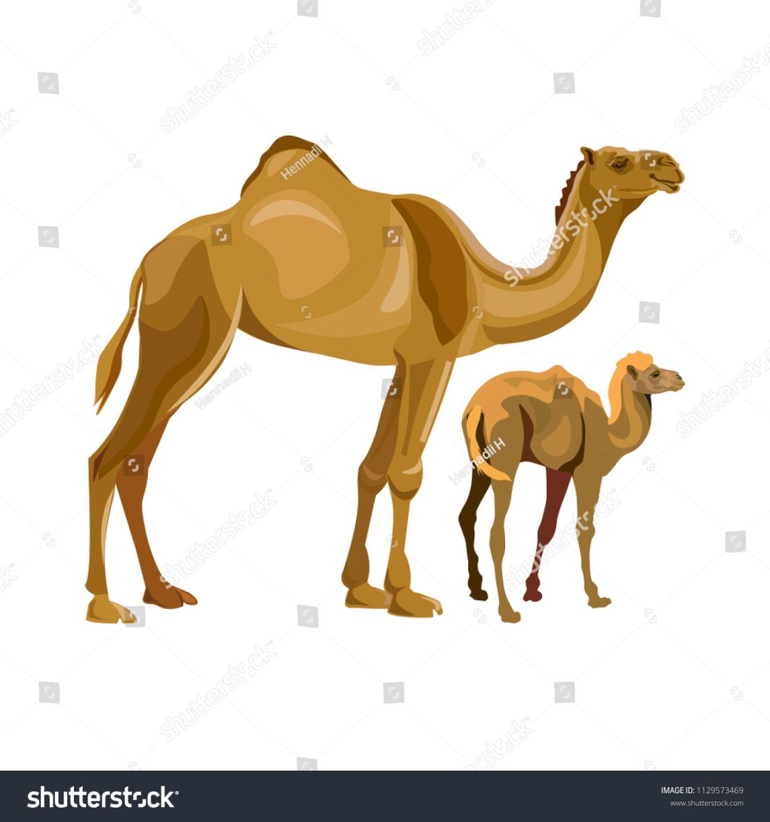 Aepycamelus giraffinus