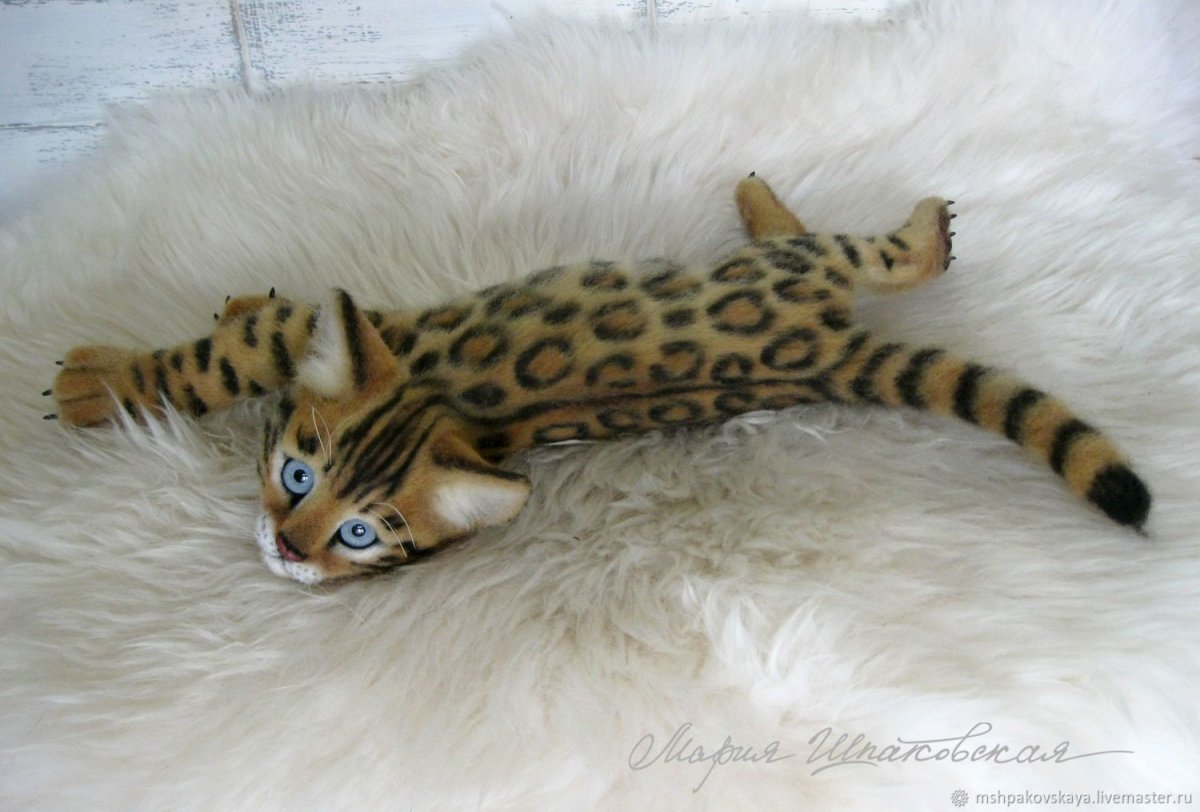 Кошка Саванна или бенгал