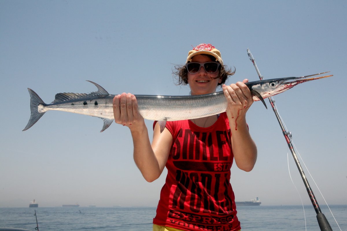 Рыба игла черное море Сарган