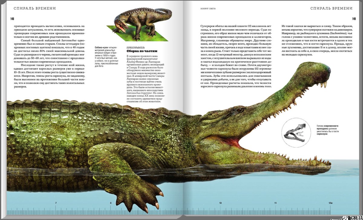Гигантский гребнистый крокодил