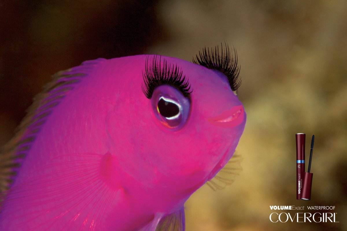 Рыба розового цвета