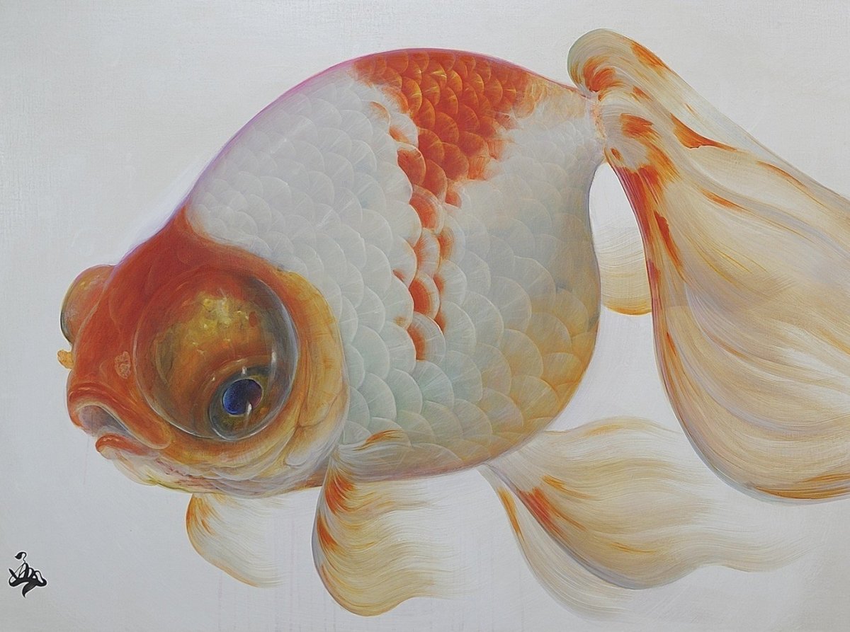 Японская Золотая рыбка