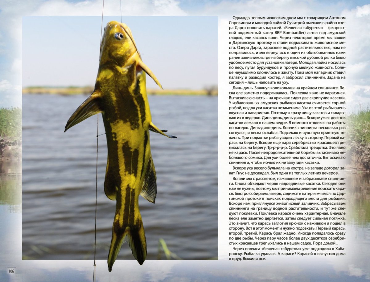 Косатка скрипун рыба