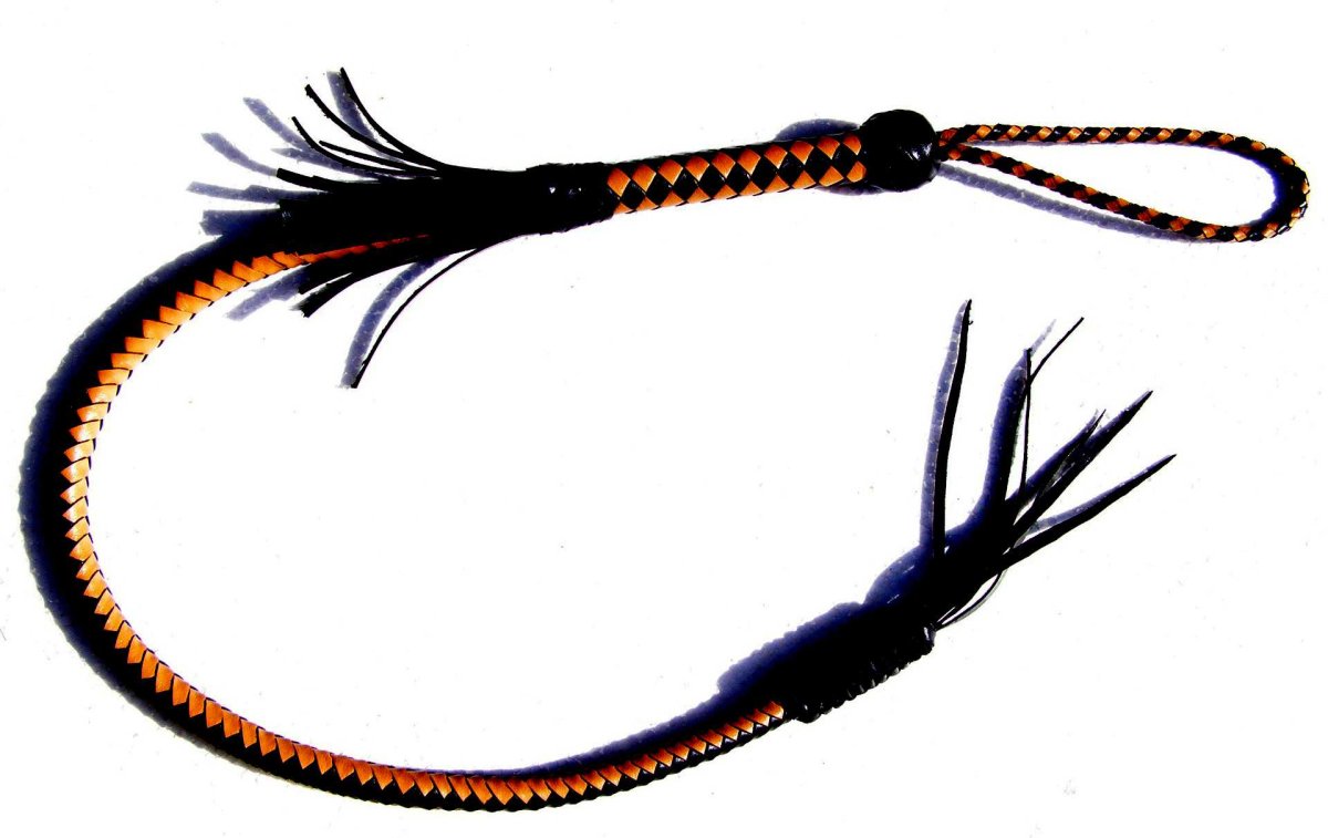 Живая рыба vector