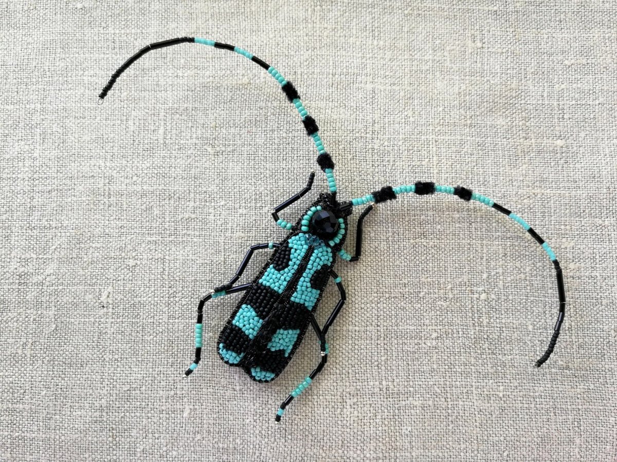 Усач Небесный (Rosalia Coelestis)