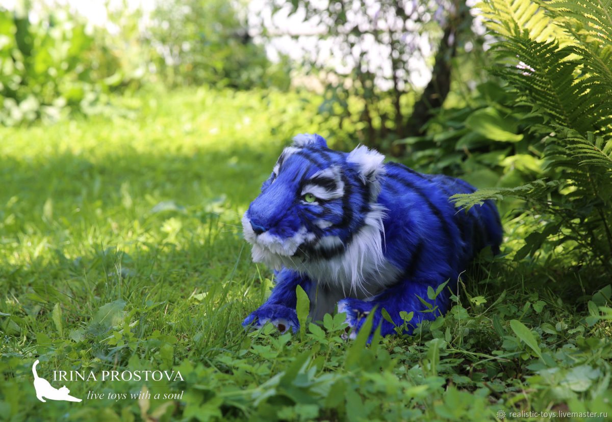 Голубой водяной тигр