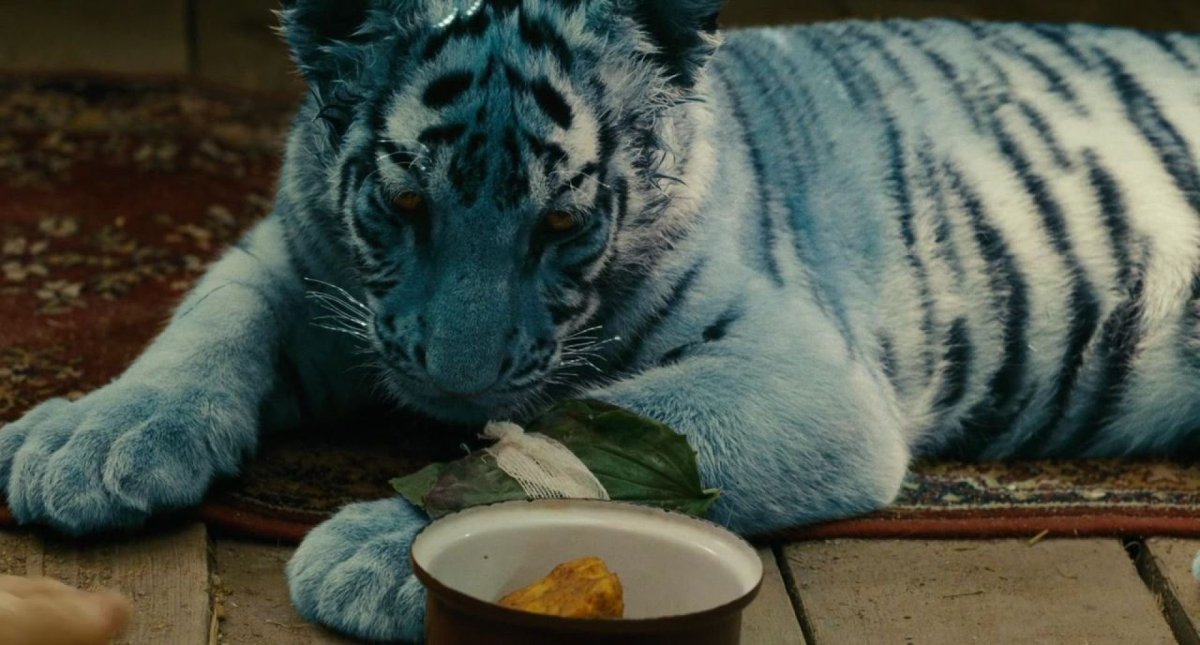 Тигр в ромашках