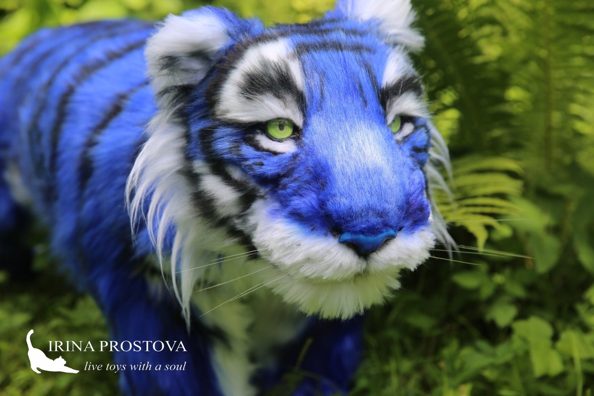 Черный тигр Кишан