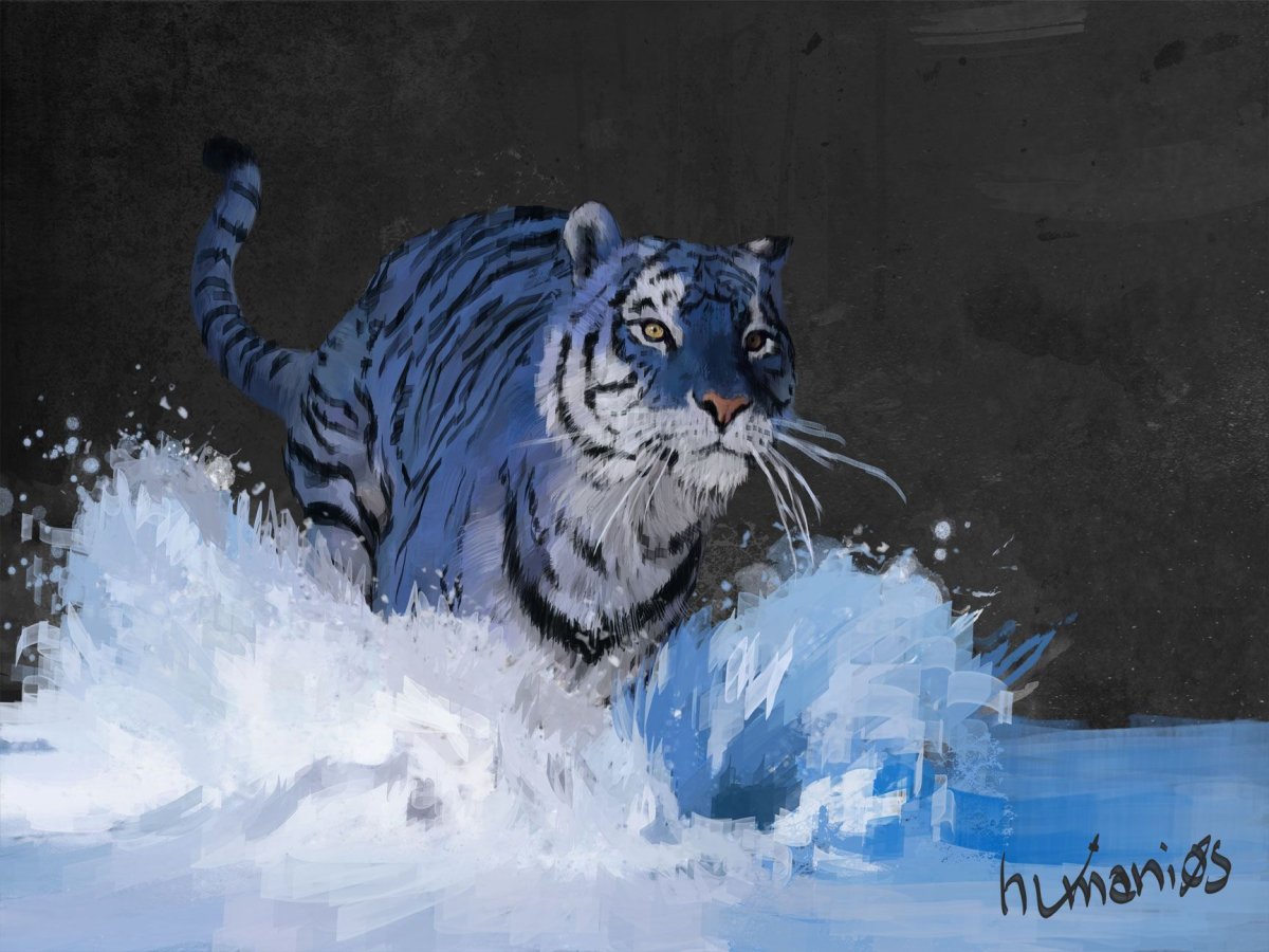 Мальтийский голубой тигр