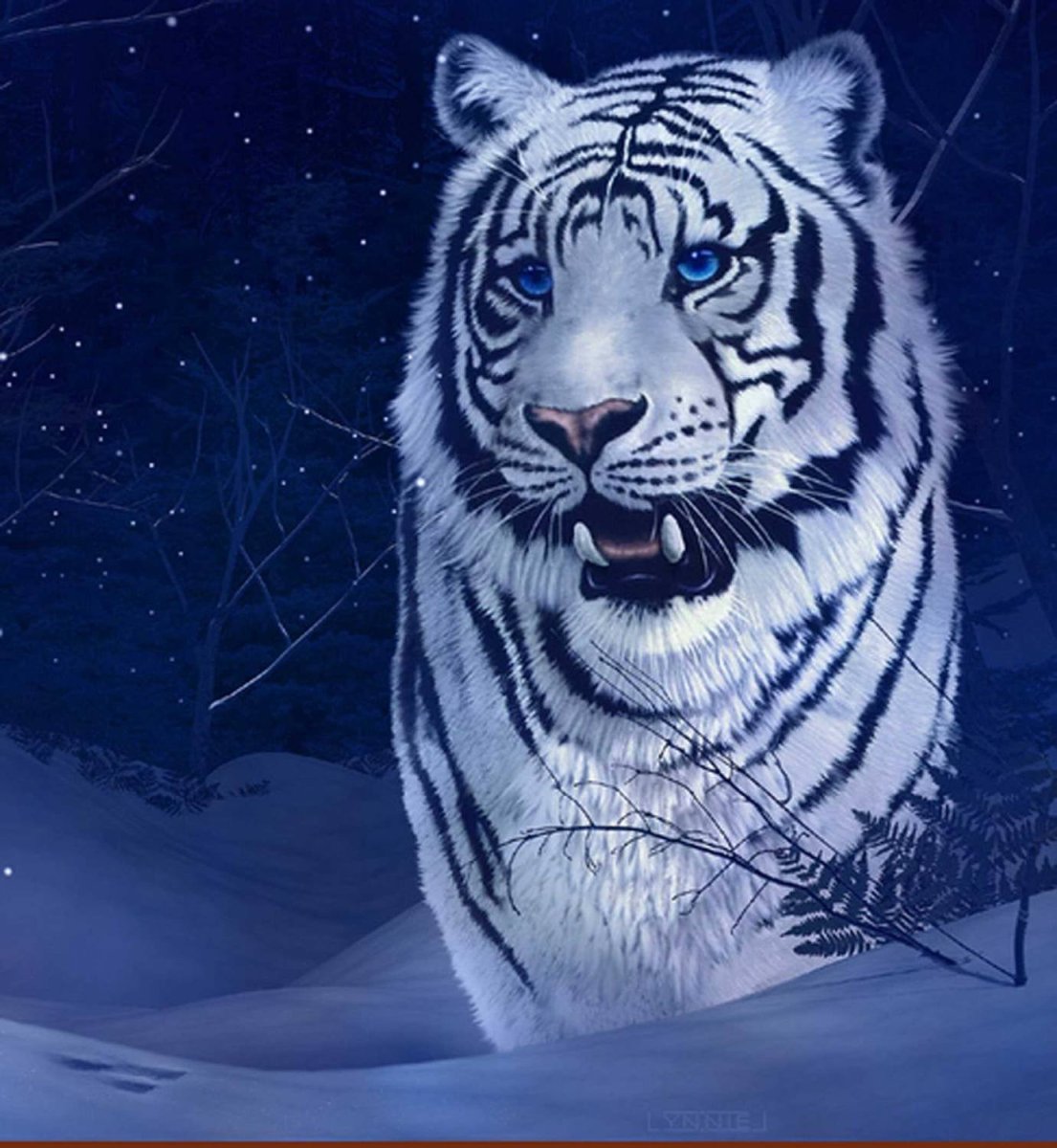 Белый бенгальский тигр