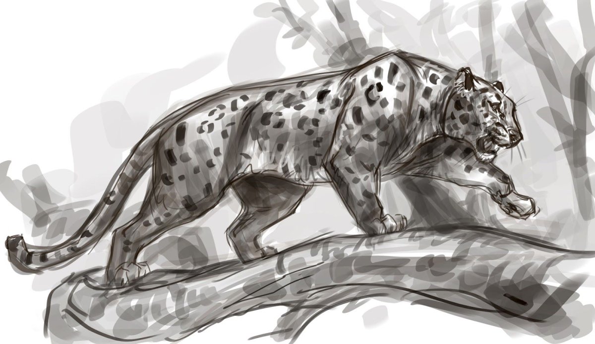 Ирбис референс