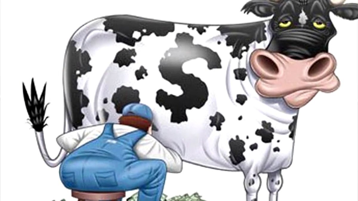 Корова Фиделя Кастро