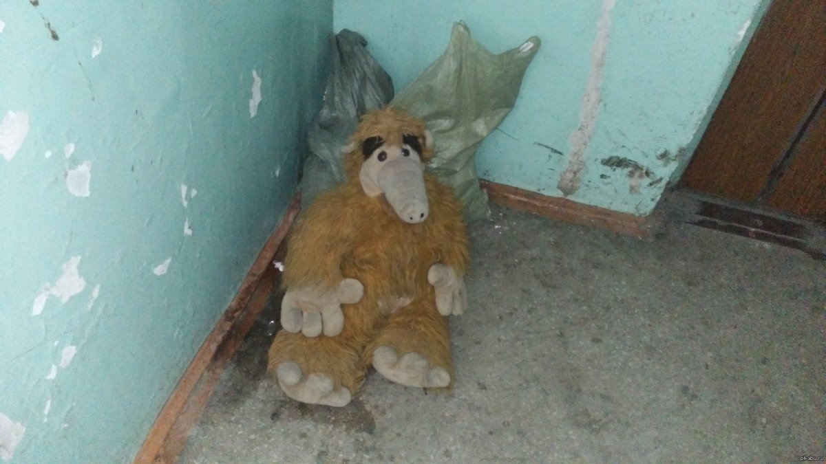 Ленивая корова