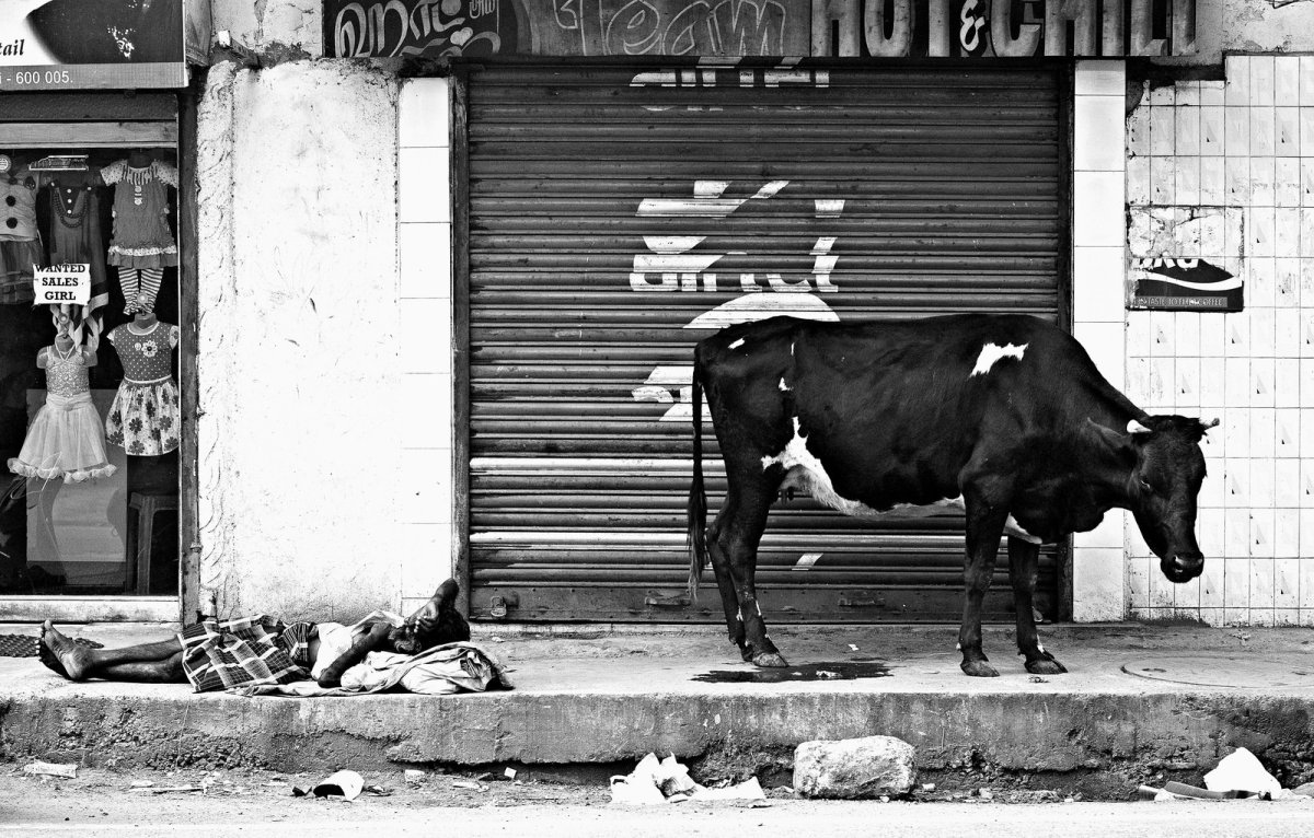 Конь на балконе Juan