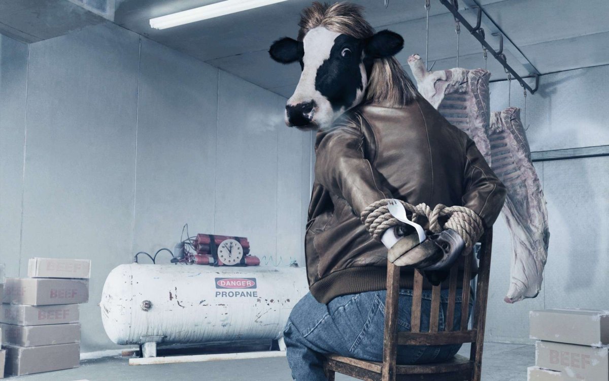 Стадо коров в темноте