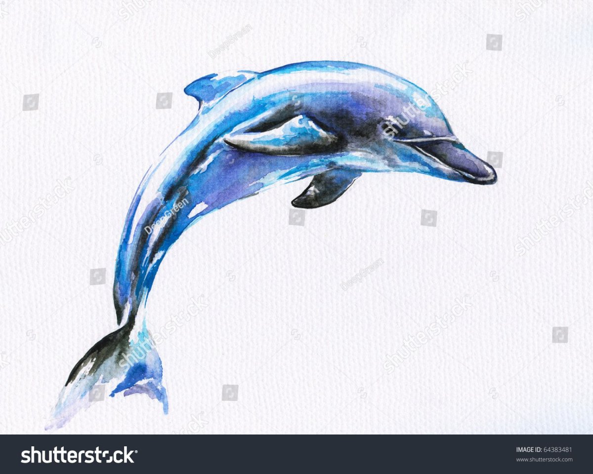 Дельфины акварелью