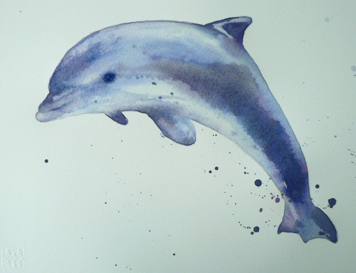 Рисунки милых дельфинов