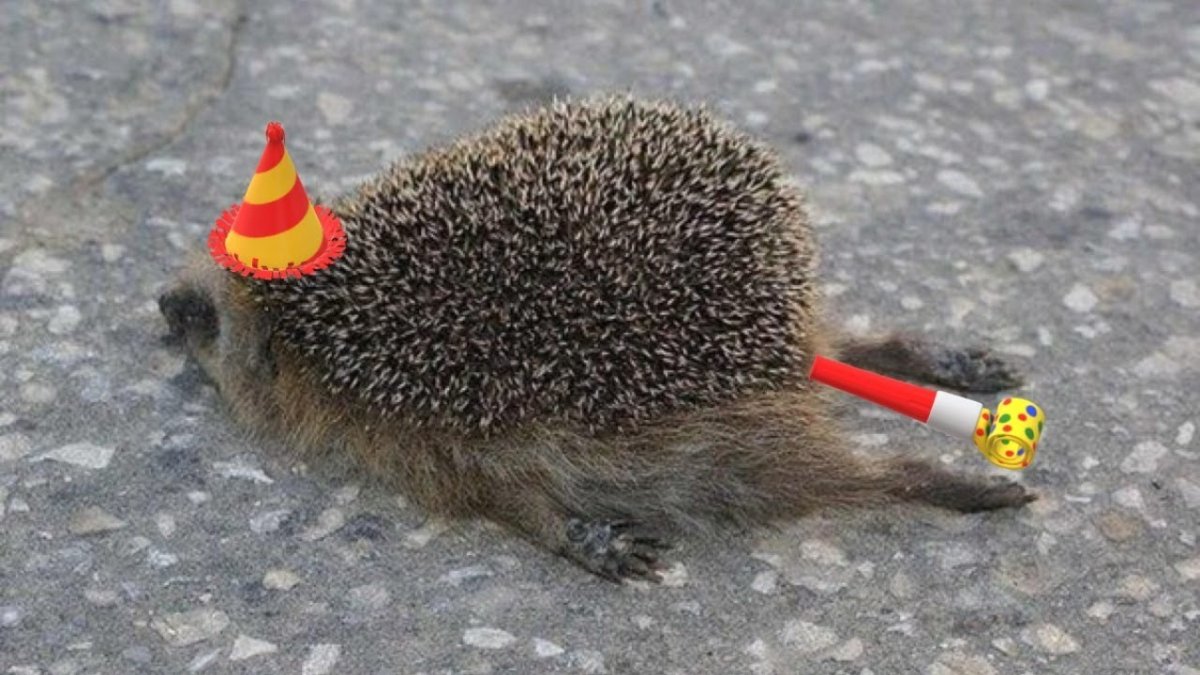 Устала Ежик