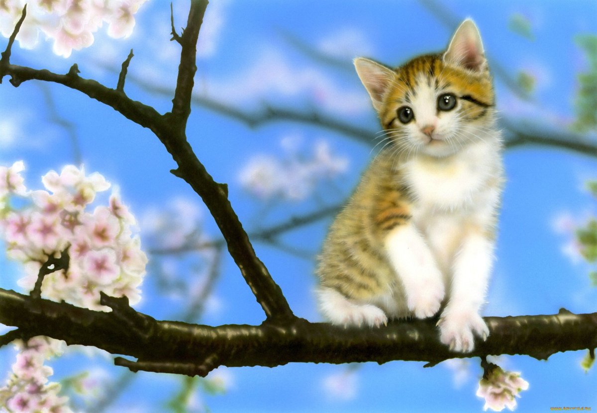 Котик на ветке