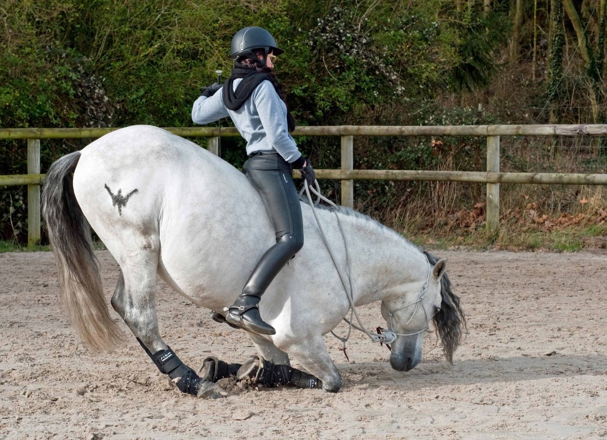 Всадник на лошади без седла