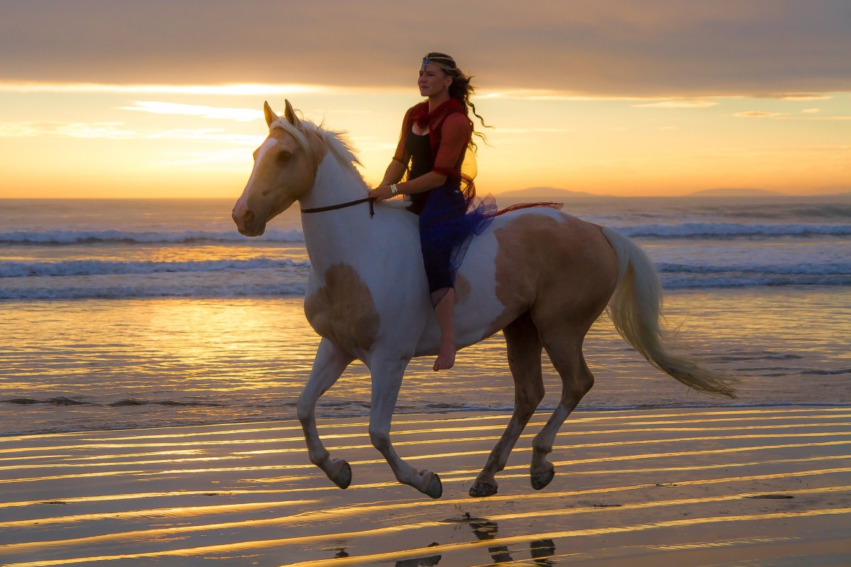 Алисия Бартон