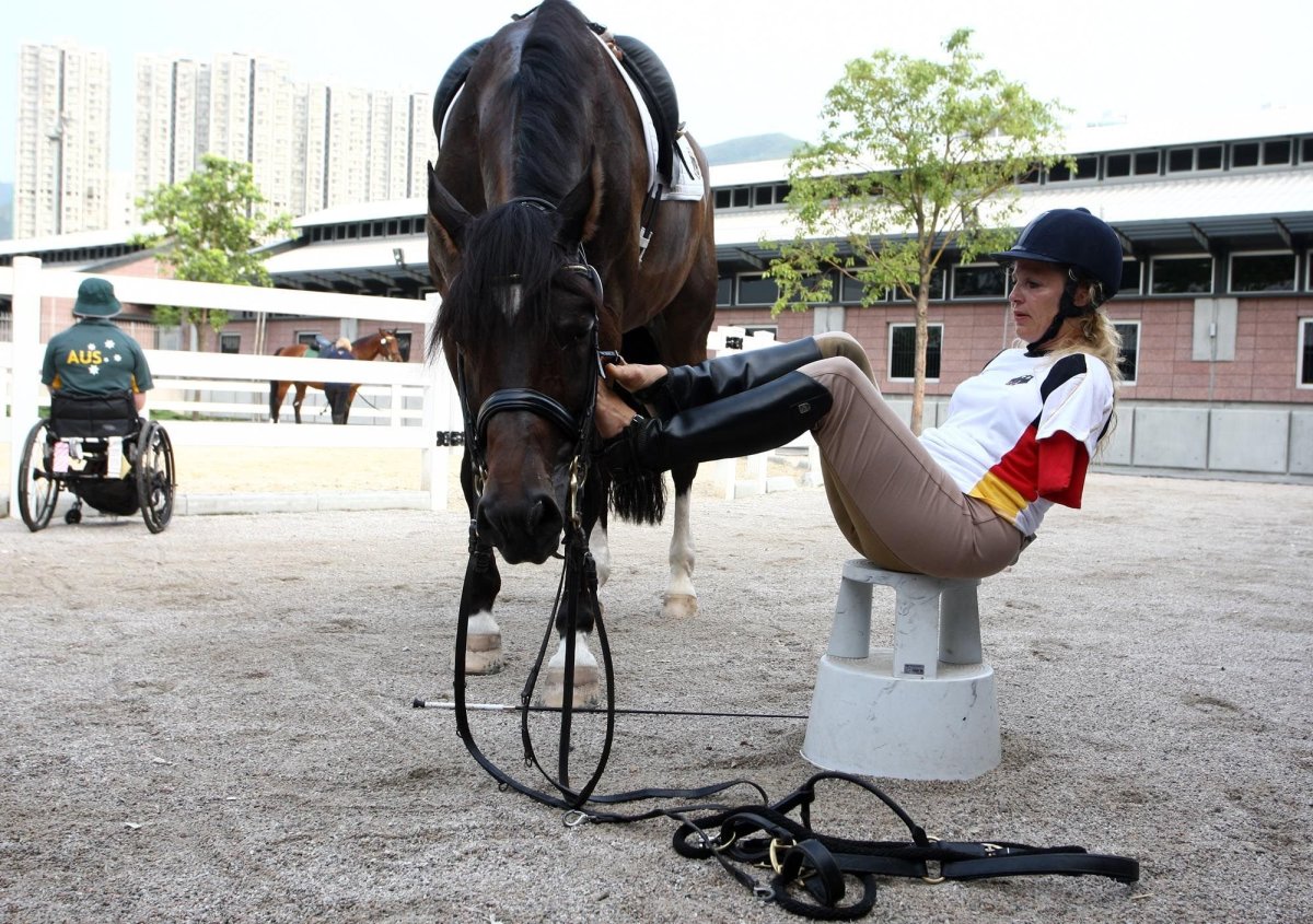 Конный спорт для инвалидов