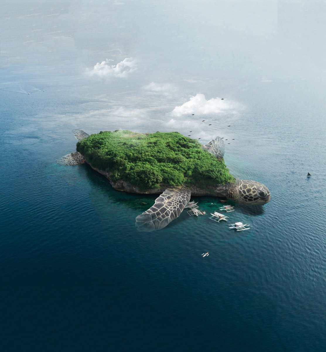 Остров в виде черепахи