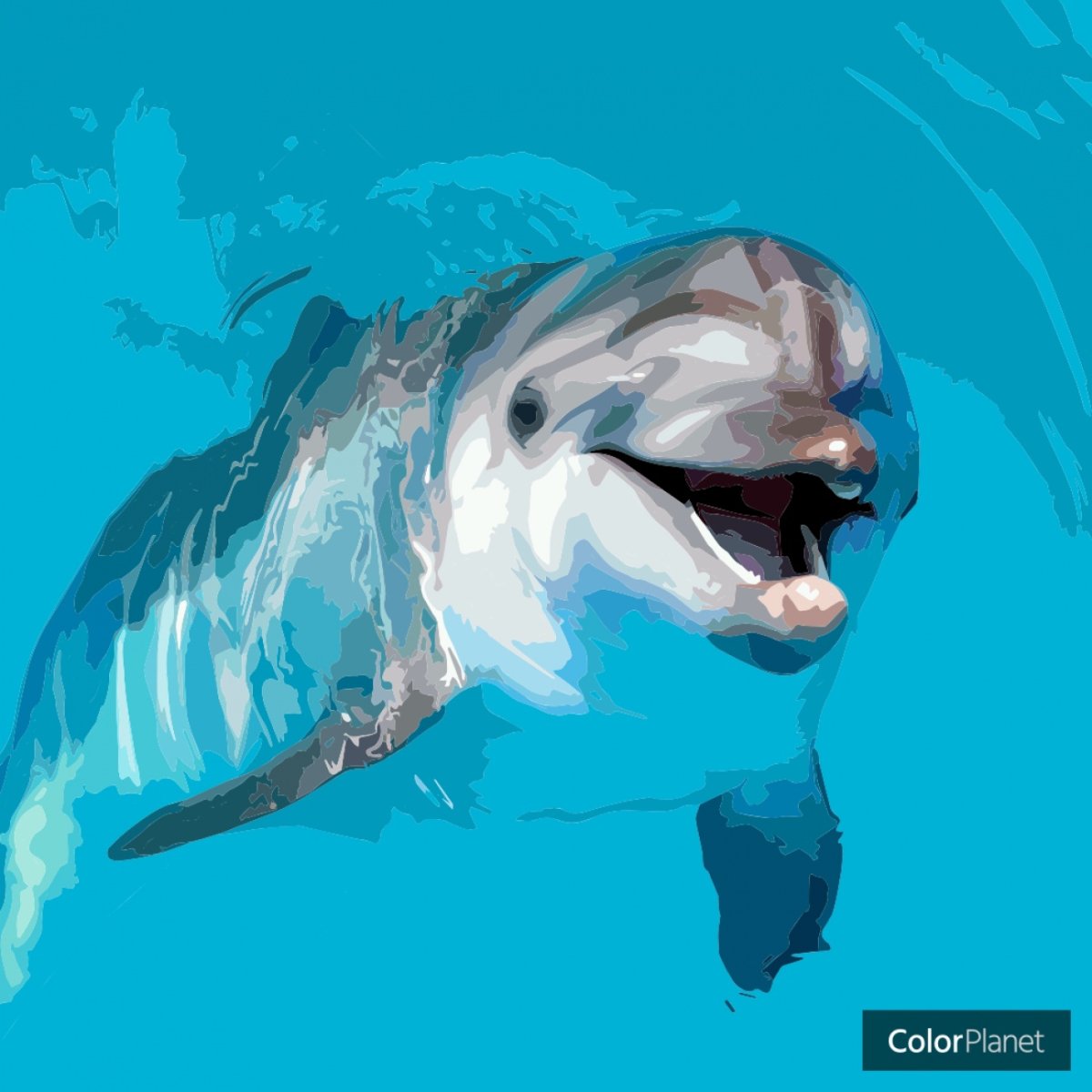 Дельфины улыбаются