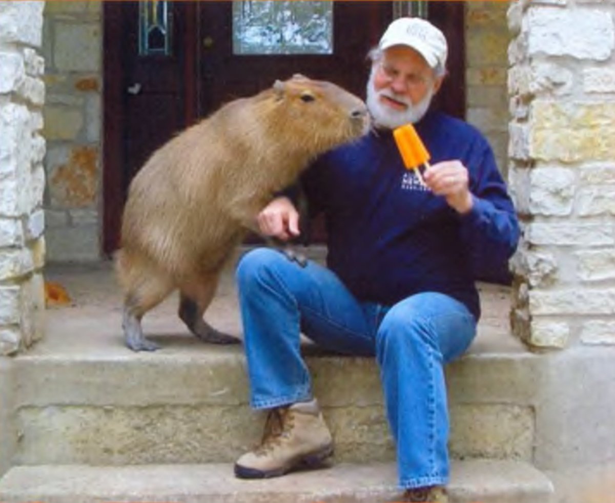 Крысы мутанты в Московском метро