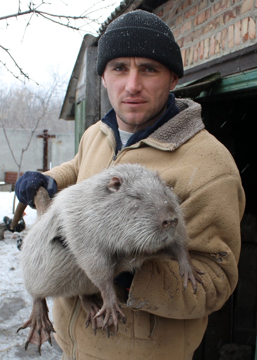 Крыса священник