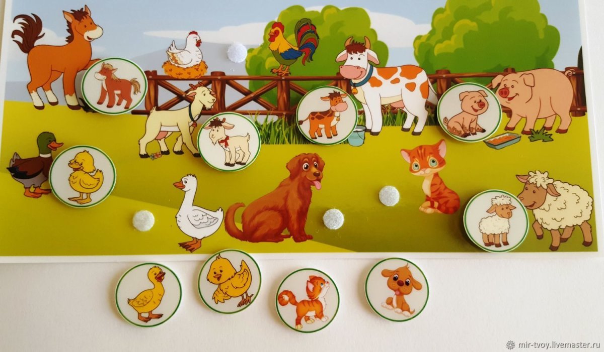 Картинка я дико извиняюсь